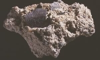 scottish-half-groad-late-14th-century